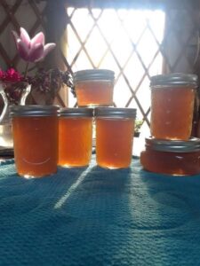 Dandelion Jelly Recipe Image
